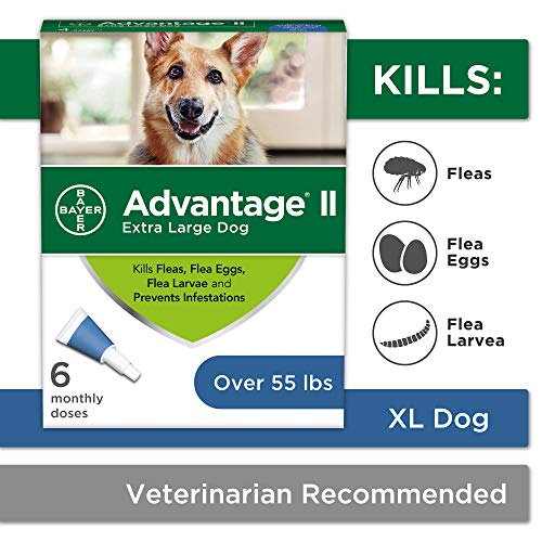 Bayer Advantage II Topical Flea Treatment Dogs