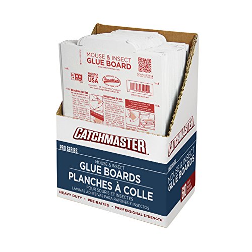 Catchmaster 60M Bulk Packed Mouse Insect and Snake Glue Boards Image